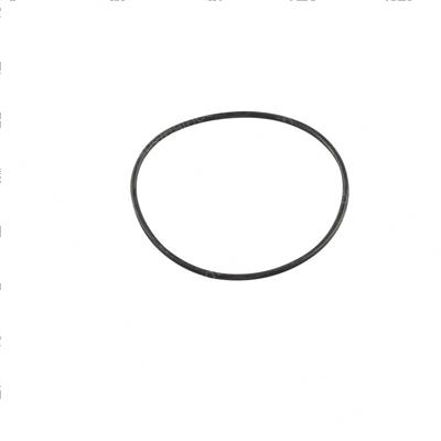Picture of O-Ring