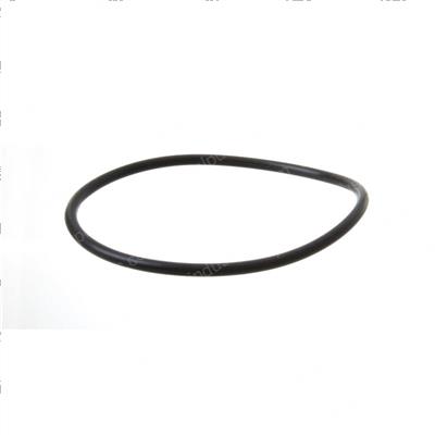 Picture of O-Ring