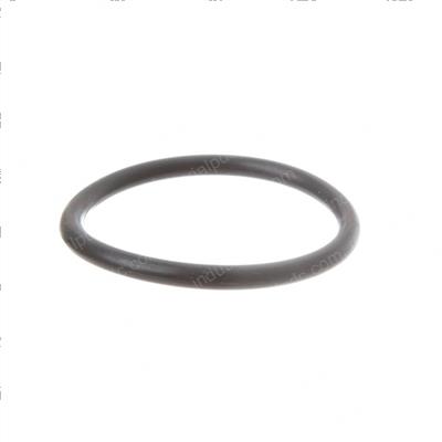 Picture of O-Ring