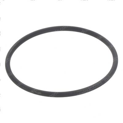 Picture of O-Ring