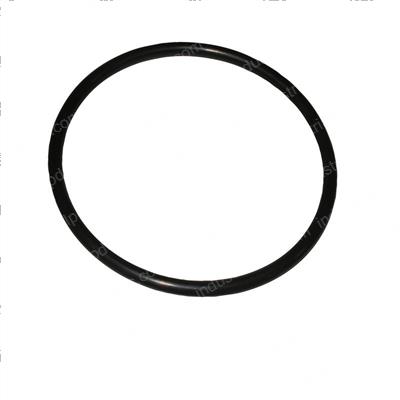 Picture of O-Ring