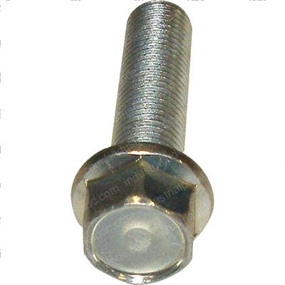 Picture of Bolt