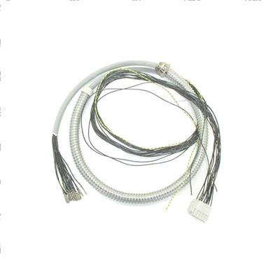 Picture of Harness