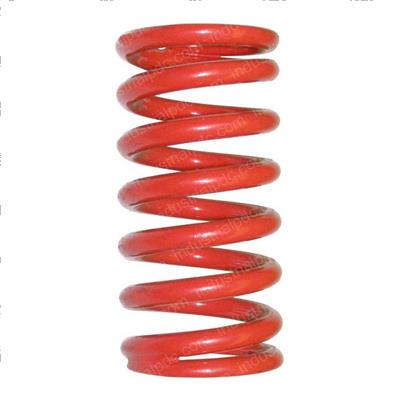 Picture of Spring- Comp
