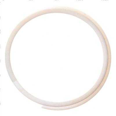 Picture of Ring - Support