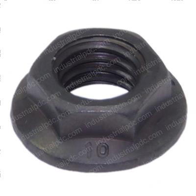 Picture of Nut