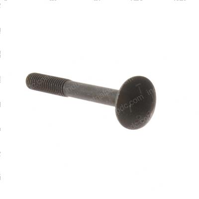 Picture of Carriage Bolt