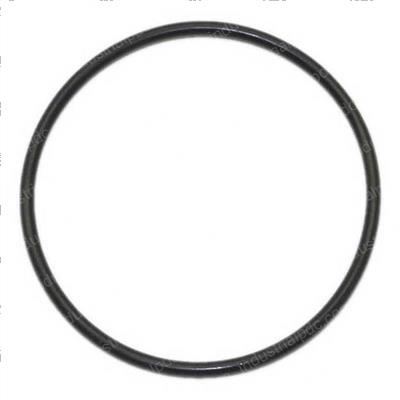 Picture of O-Ring