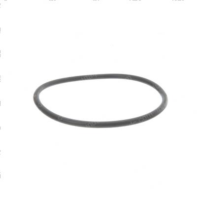 Picture of O - Ring