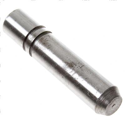 Picture of Bolt