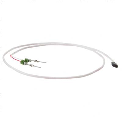 Picture of Temp Sensor