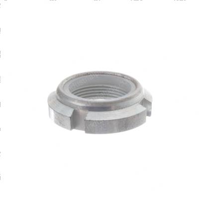 Picture of Nut