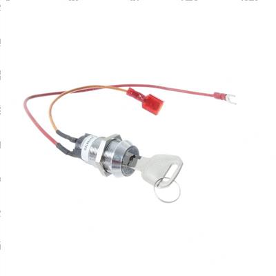 Picture of Switch - Key