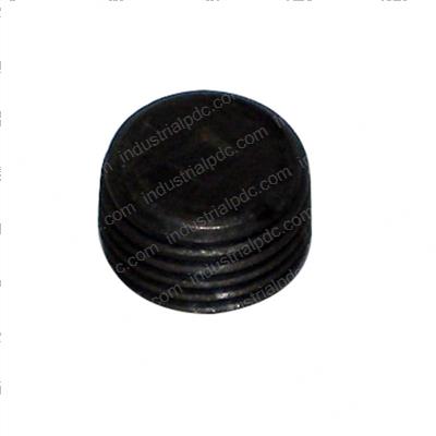 Picture of Pipe Plug