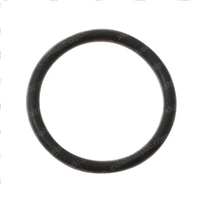 Picture of O-Ring