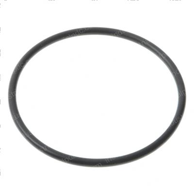 Picture of O-Ring