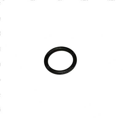 Picture of O-Ring