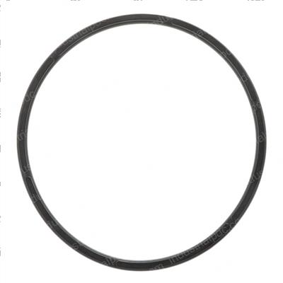 Picture of Backup Ring