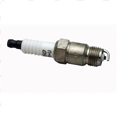 Picture of Plug - Spark