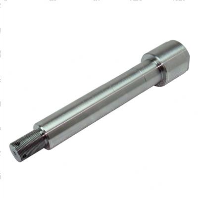 Picture of Bolt