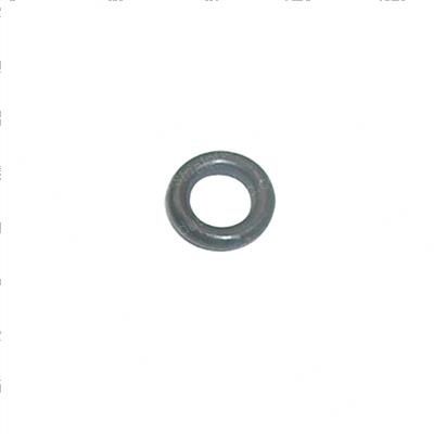 Picture of O-Ring