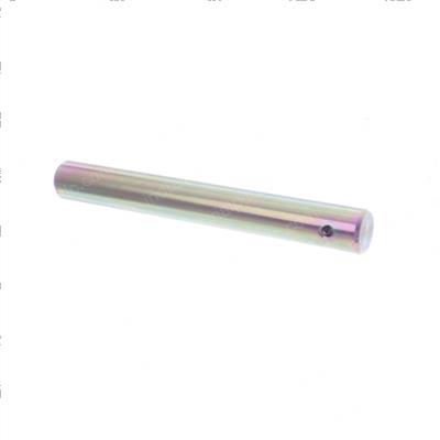 Picture of Pin - Cold Storage