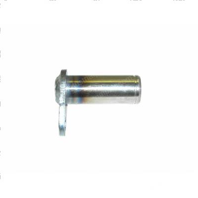 Picture of Bolt