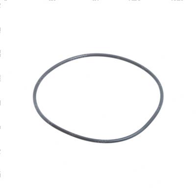 Picture of O-Ring