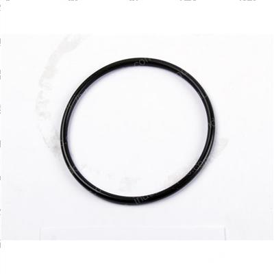 Picture of O-Ring