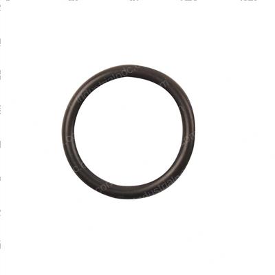 Picture of O-Ring
