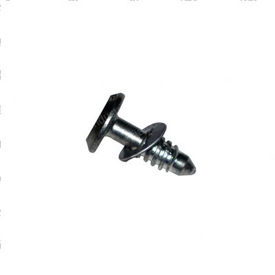 Picture of Screw