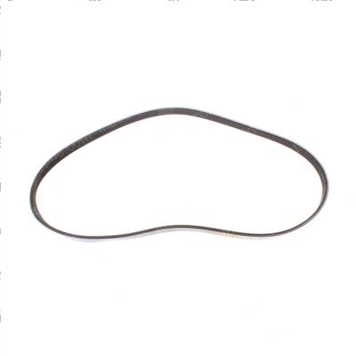 Picture of Belt - Serpentine