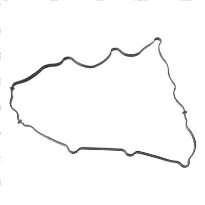 Picture of Gasket