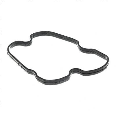 Picture of Gasket
