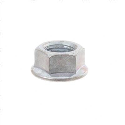 Picture of Nut