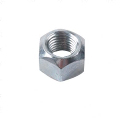Picture of Nut