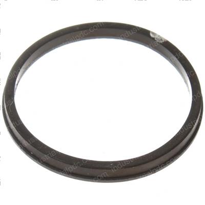 Picture of Seal