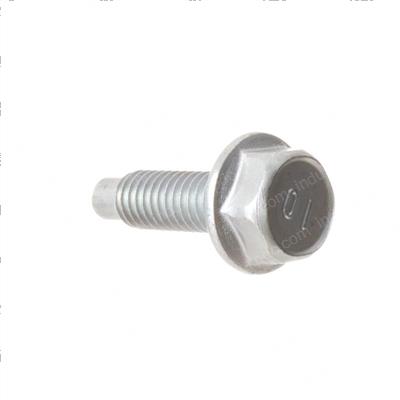Picture of Bolt
