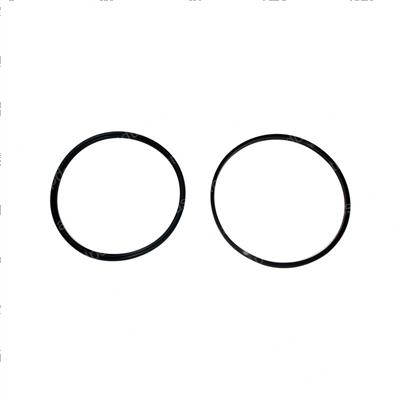 Picture of Seal