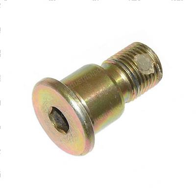 Picture of Screw