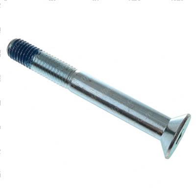 Picture of Bolt