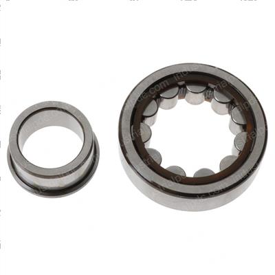 Picture of Bearing  Cyli