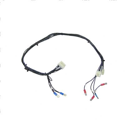 Picture of Harness