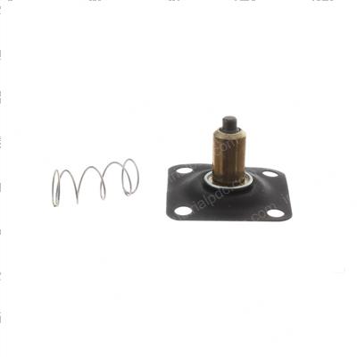 Picture of Plunger