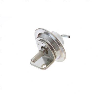 Picture of Diaphragm
