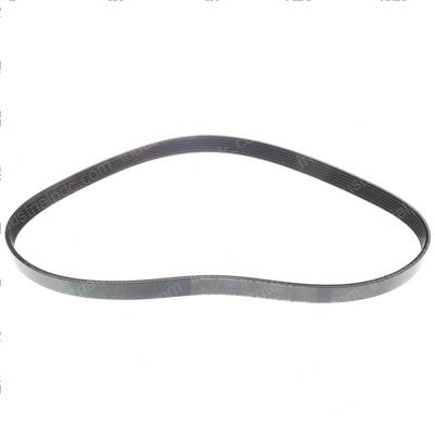 Picture of Belt - Serpentine