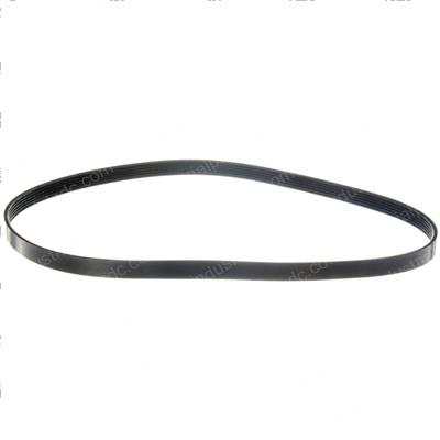 Picture of Belt - Serpentine