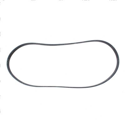 Picture of Belt - Serpentine