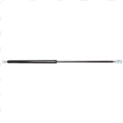 Picture of Strut - Gas