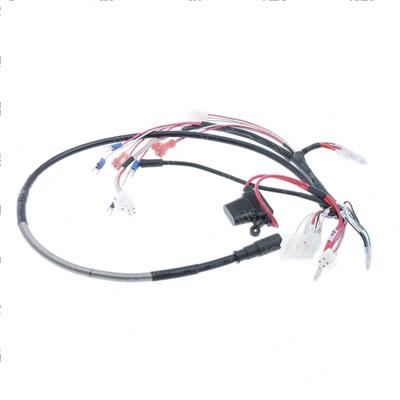 Picture of Main Control Wiring Harness